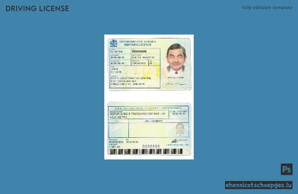 Beispiel für einen jamaikanischen Führerschein